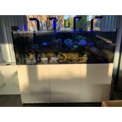 Red Sea Reefer XXL 750 De Luxe wit incl. 4x Reefled en arms