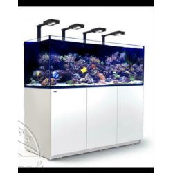 Red Sea Reefer XXL 750 De Luxe wit incl. 4x Reefled en arms