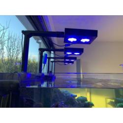 Red Sea Reefer XXL 750 De Luxe wit incl. 4x Reefled en arms