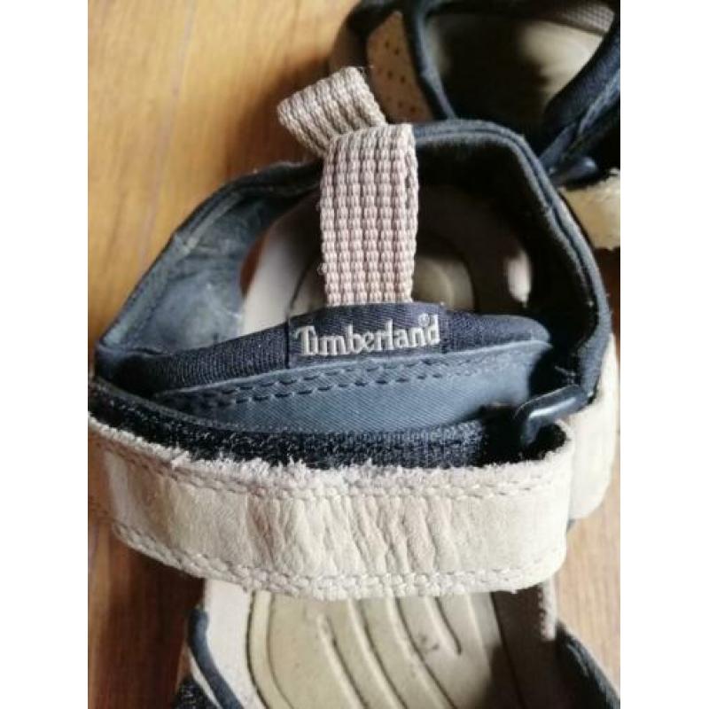 Timberland