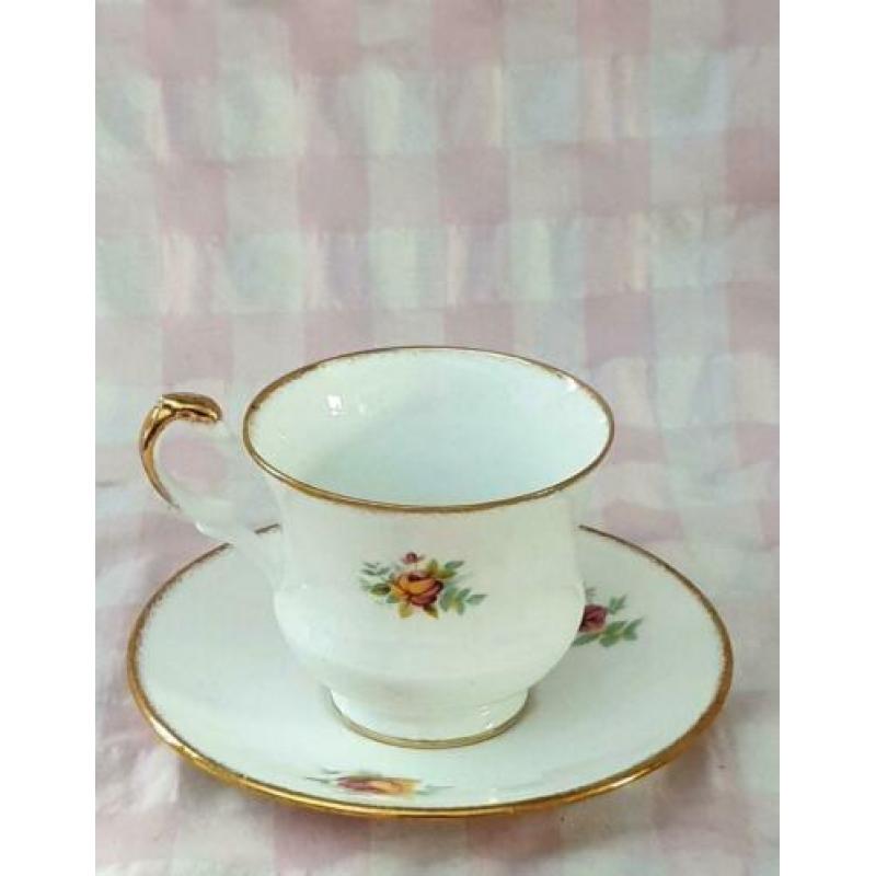 Engelse kop en schotel Royal Dover Fine bone China (568)