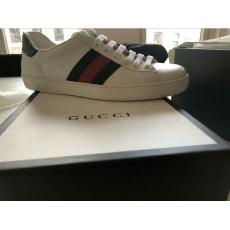 Gucci Ace classic nieuw in doos