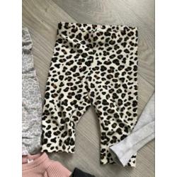 Legging MarMar romper maat 68/74 babykleding luipaard