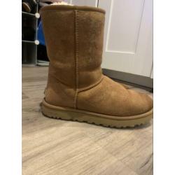 Uggs maat 39