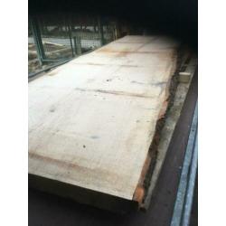 tafelbladen eiken hout boomstam koop planken balken