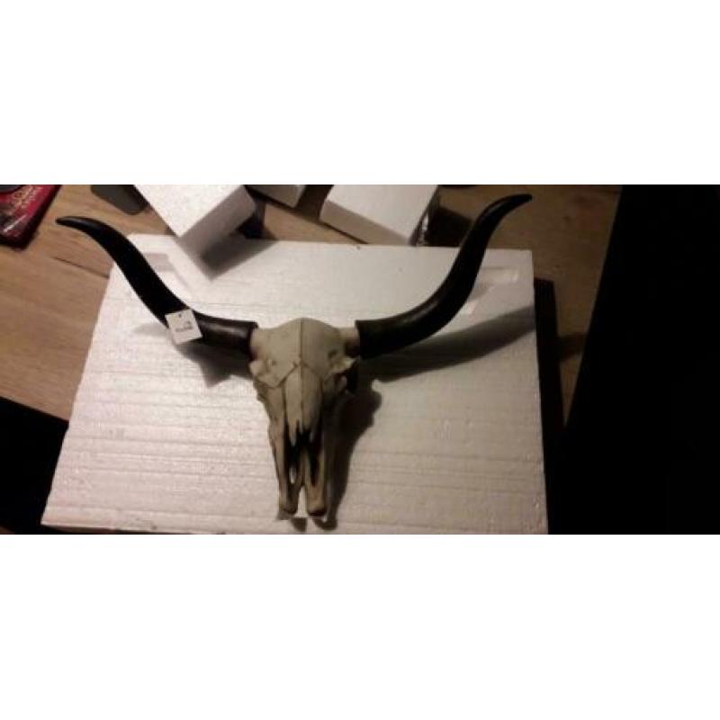 Skull bull head