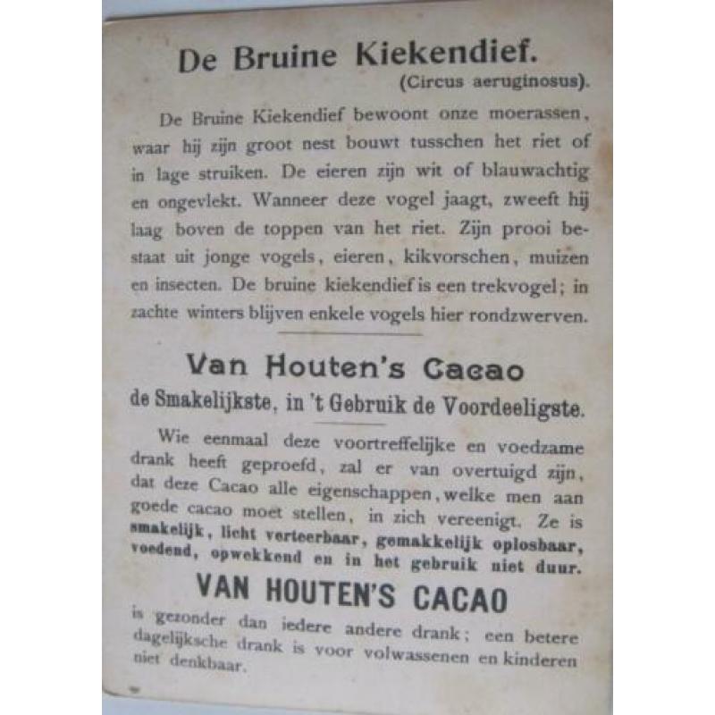 van Houten cacao reclame kaarten van vogels