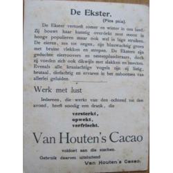 van Houten cacao reclame kaarten van vogels