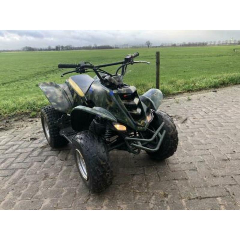 E-ton Viper 90cc quad