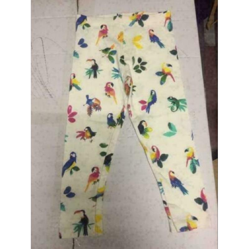 Next merk papegaai legging, maat: 98