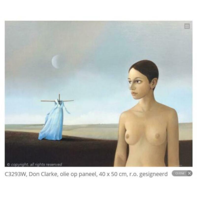 Prachtig schilderij van Don Clarke