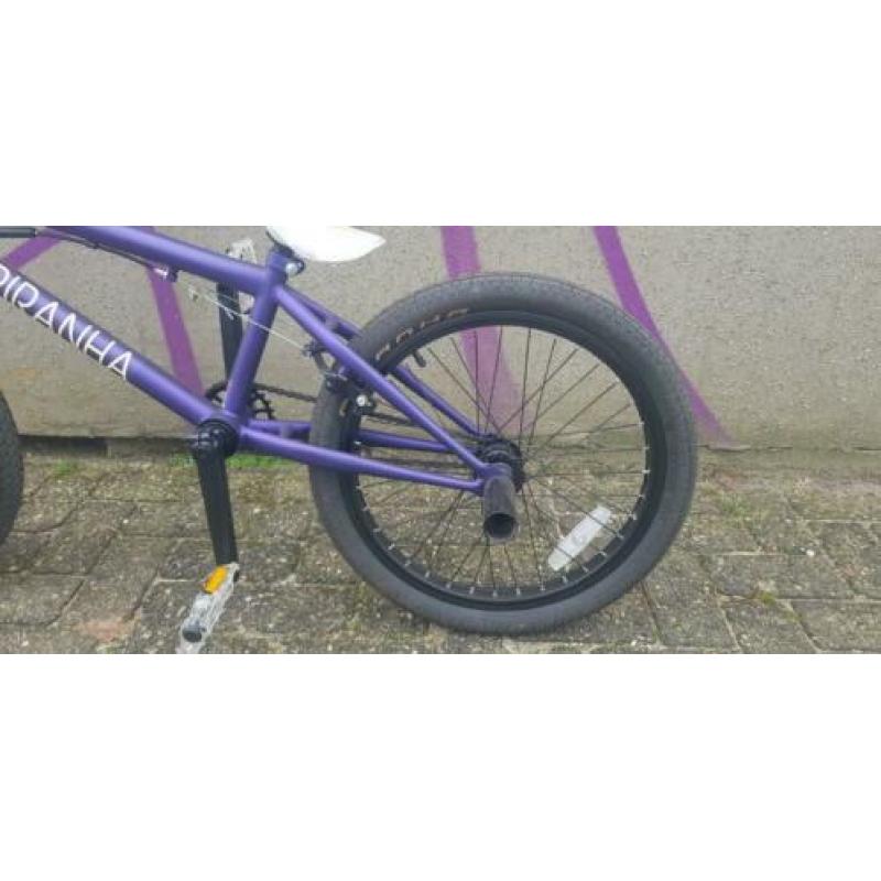 Bmx Freestyle Piranha paars 20 inch NIEUW