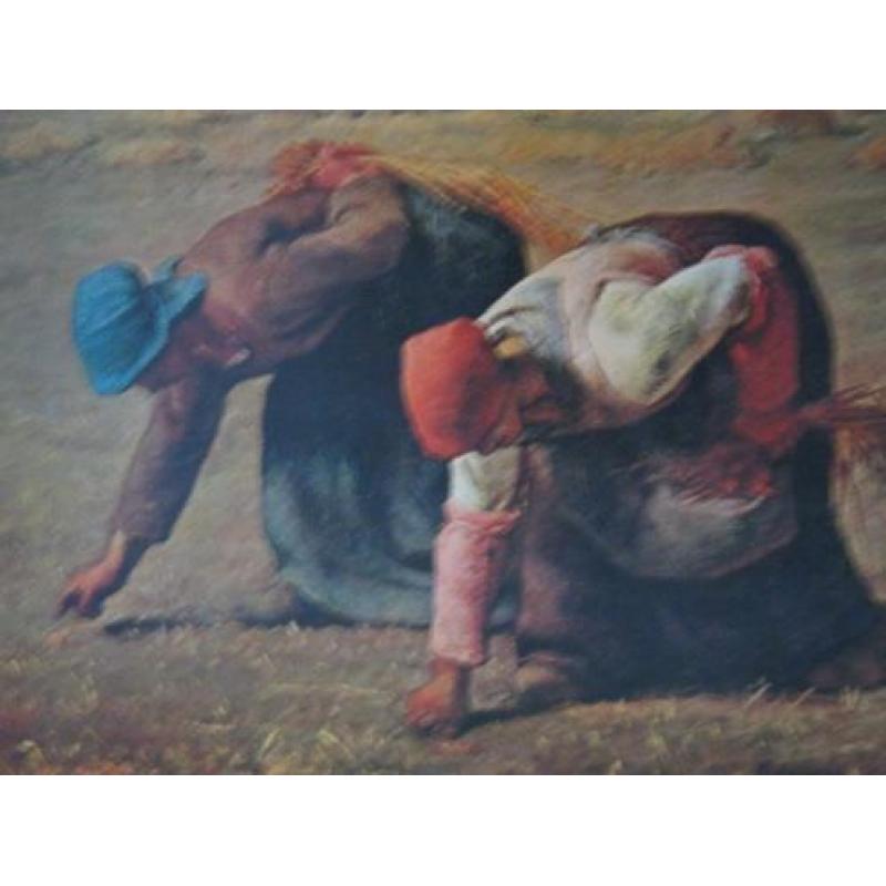 Reproduktie "Arenleesters" van Jean-Francois Millet