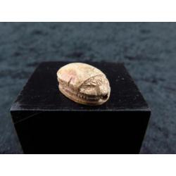 Egyptian steatite scarab with decorations of Horus with the