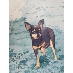 Aquarel van Frans Jongmans 1980 bulterrier en chihuahua.