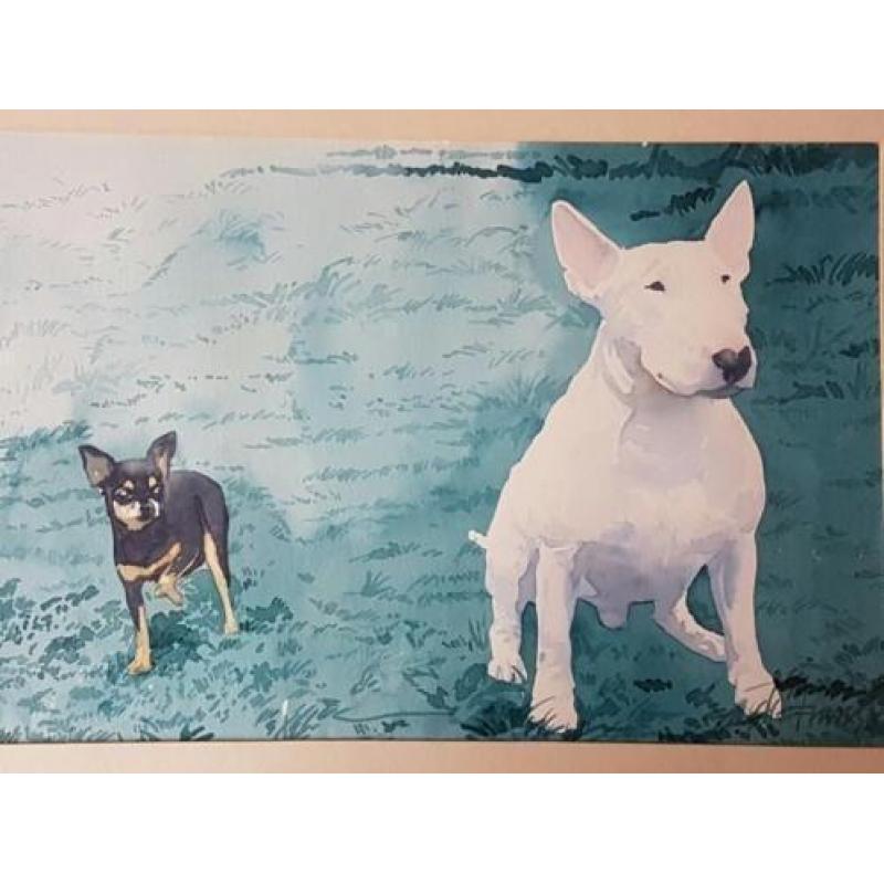 Aquarel van Frans Jongmans 1980 bulterrier en chihuahua.