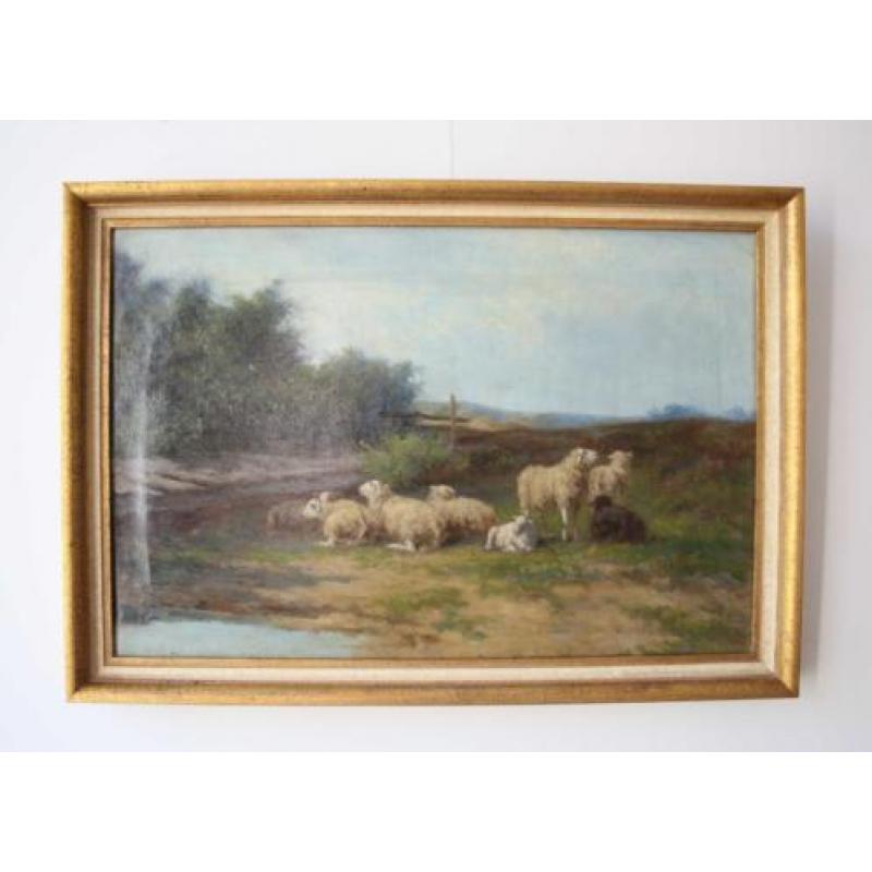 HCC Bogman (1861- 1921) schapen aan het water