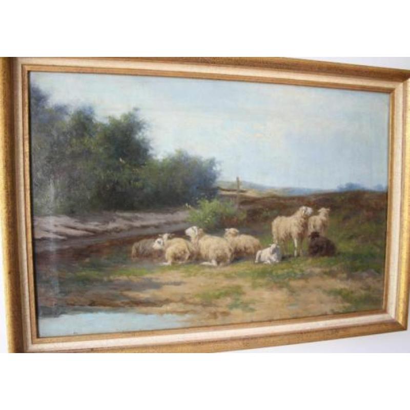 HCC Bogman (1861- 1921) schapen aan het water