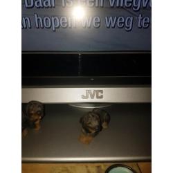 Jvc tv