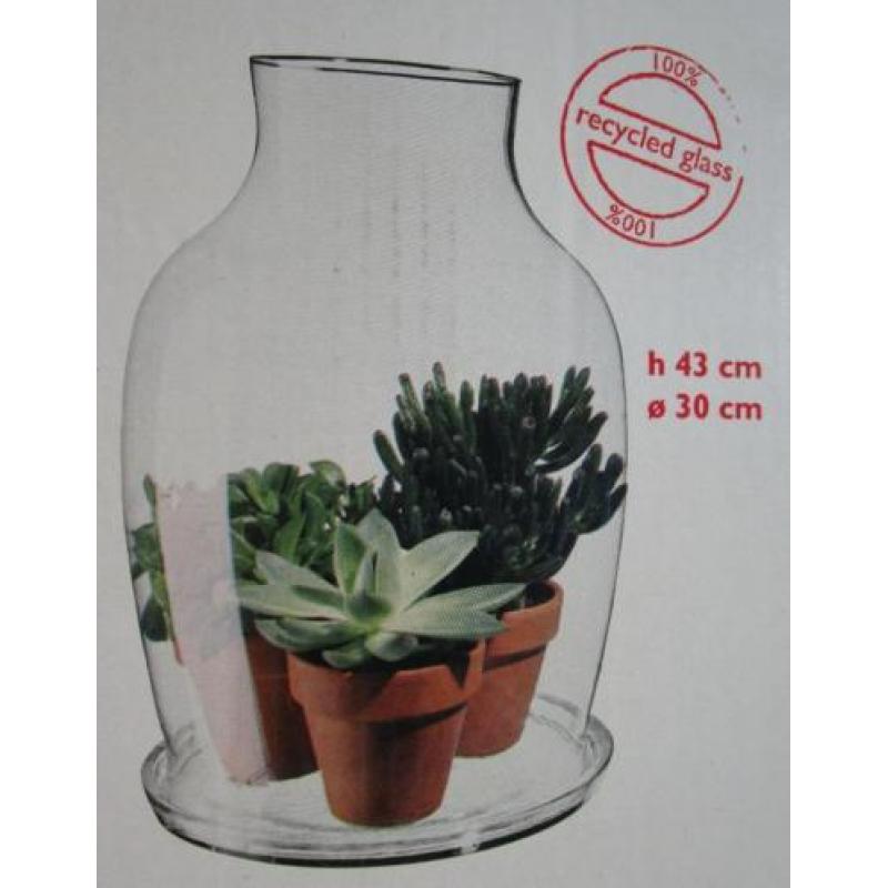 Greenhouse (glazen fles met glazen schotel 43 cm. hoog)