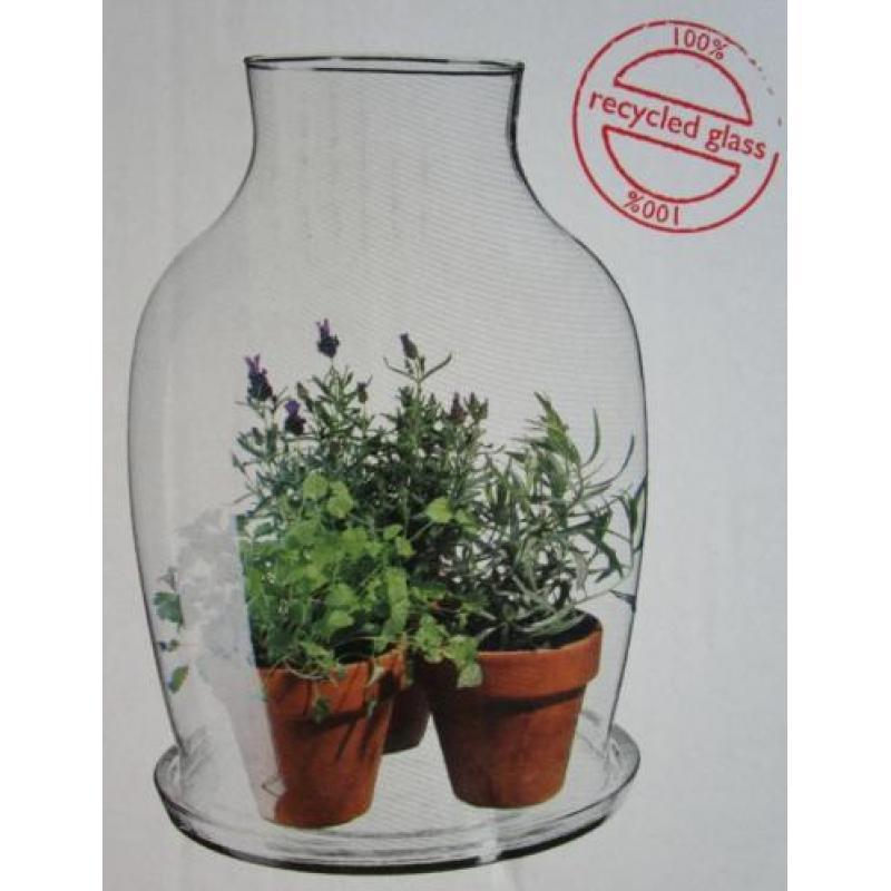 Greenhouse (glazen fles met glazen schotel 43 cm. hoog)