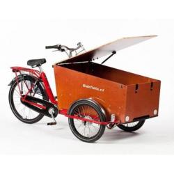 Bakfiets.nl CargoTrike Classic Wide Steps