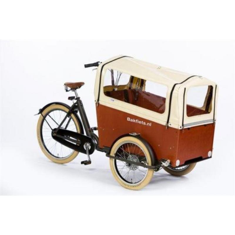 cargoTrike Cruiser Wide Steps