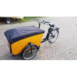 Babboe Big Bakfiets