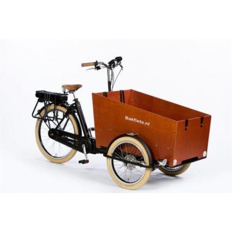 cargoTrike Cruiser Wide Steps