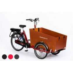 Bakfiets.nl CargoTrike Classic Wide Steps