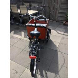 Babboe big bakfiets 5 speed met hoezen