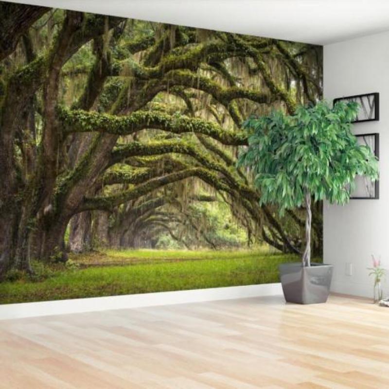 Aanbieding fotobehang natuur bomen