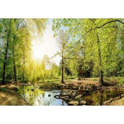 Fotobehang WALD SUN WATER Gratis lijm en Verzenden 110508