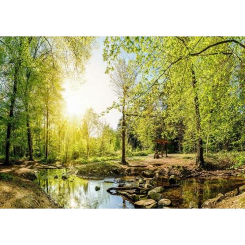 Fotobehang WALD SUN WATER Gratis lijm en Verzenden 110508