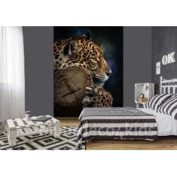 Jungle fotobehang Jaguar, jungledieren behang *Muurdeco4kids